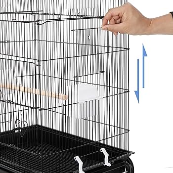 Amazon.com: ZENY 63.38 英吋(約63.38 公分)鳥籠,滾動鍛鐵鸚鵡籠